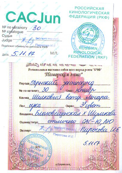 1диплом мышки001.jpg