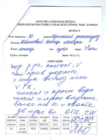 1диплом мышки002.jpg
