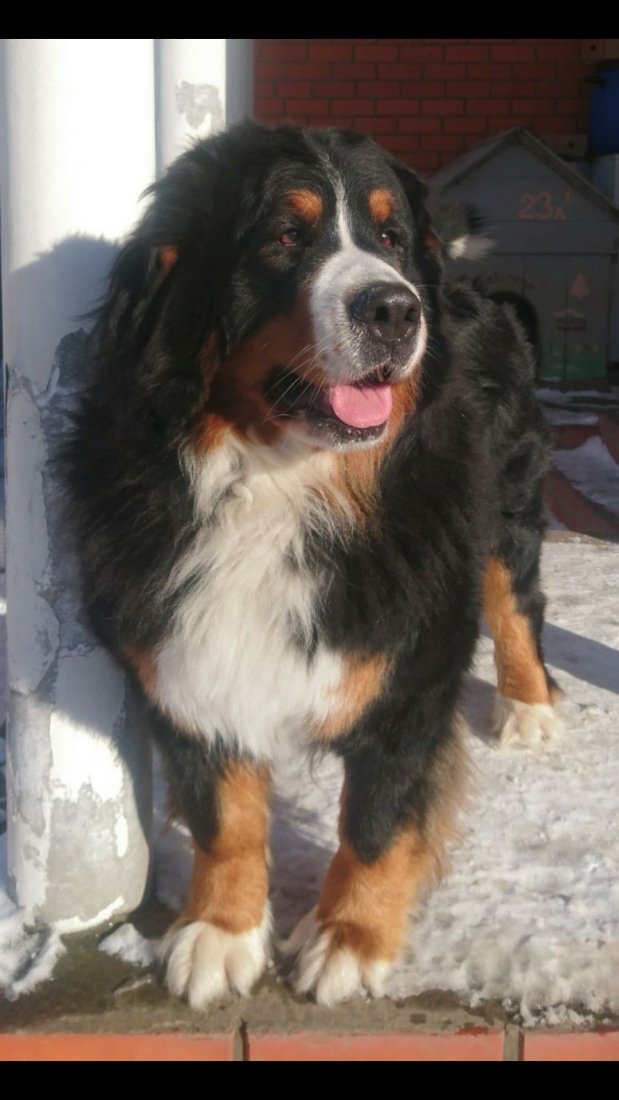 10-52-09-ZOC0EOnertk.jpg