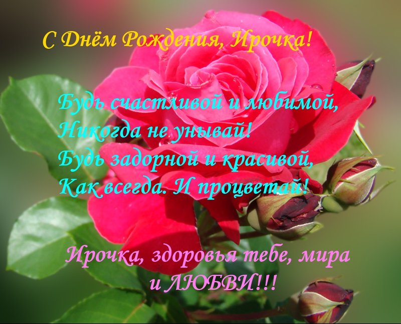 10594156.jpg