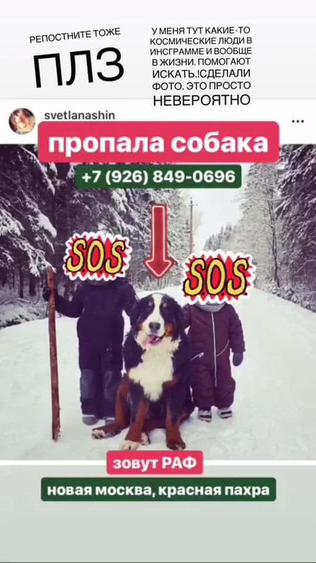 123.jpg