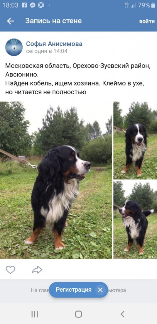 12B57AE4-11DE-48F4-9BC9-93ABAD5BF35A.jpeg