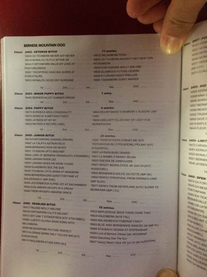 17201192_1357973990892444_6731656927334084581_n.jpg