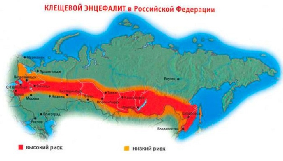 17494400.jpg