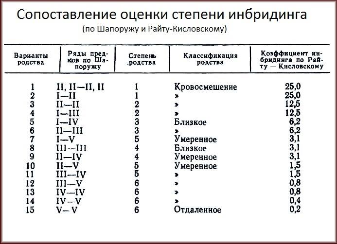 19657243_114873979134978_3444075513900703491_n.jpg