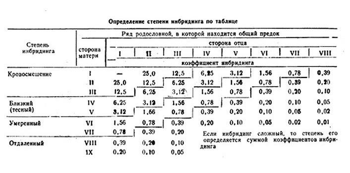19702219_114878035801239_7617160214023328679_n.jpg