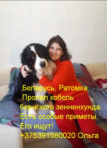 1fd0bc26.jpg