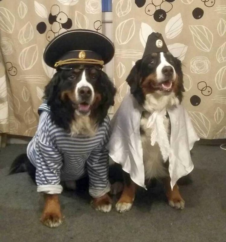 2б.jpg