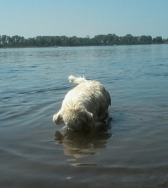 20170618_134227-1.jpg