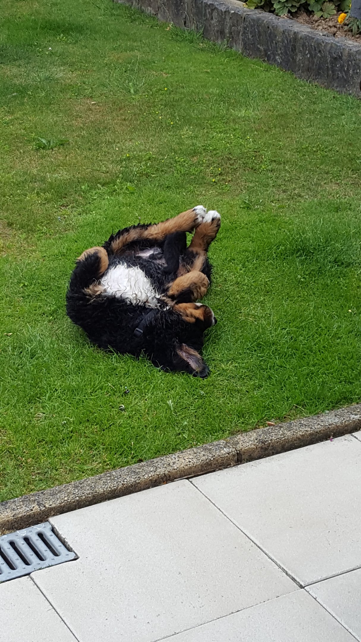 20170624_134537.jpg