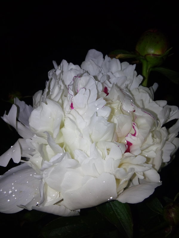 20170627_220827.jpg