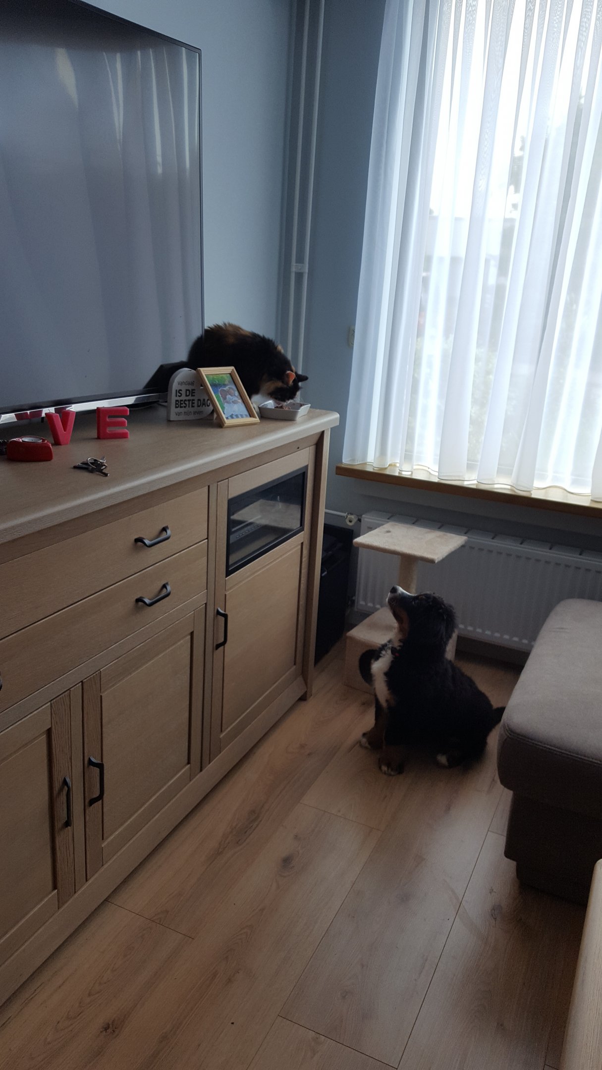 20170628_185738.jpg