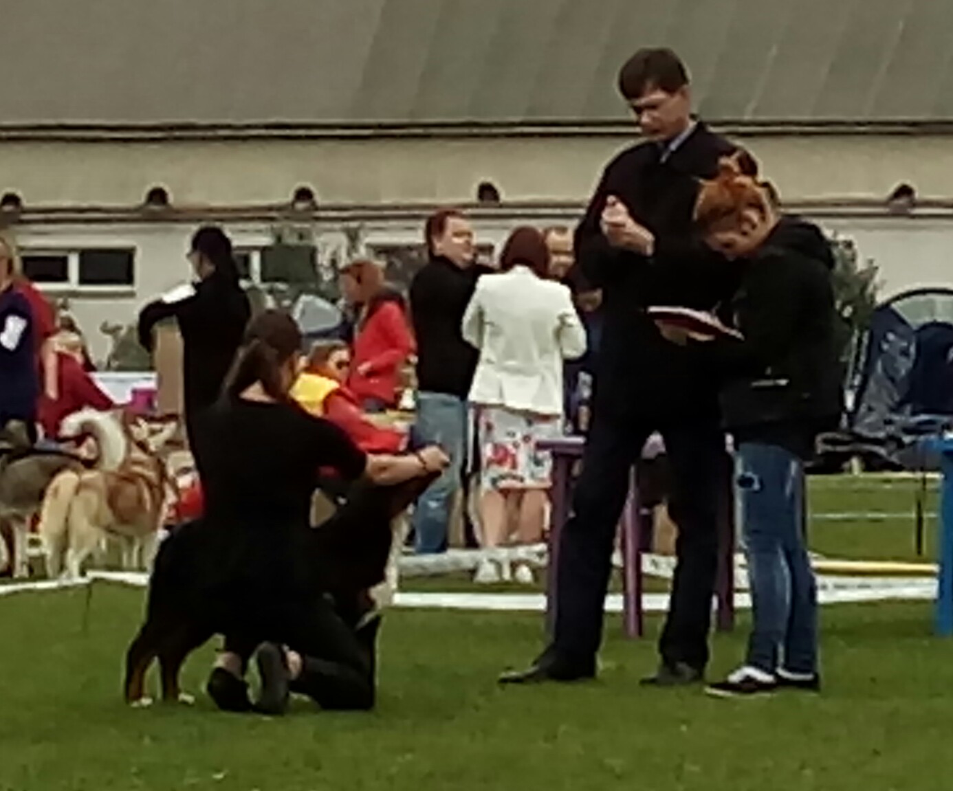 20170708_120115-1.jpg