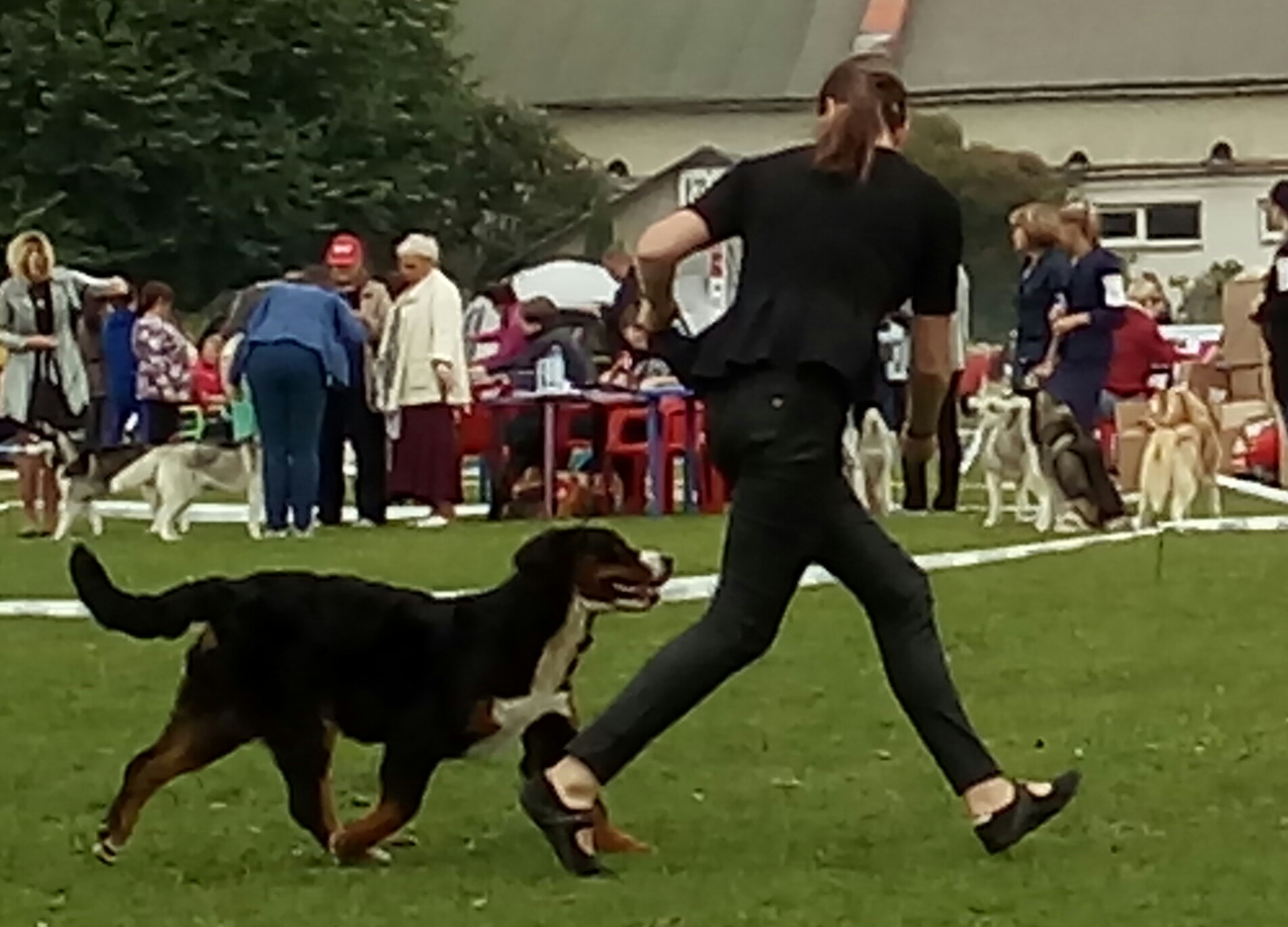 20170708_120143-1.jpg