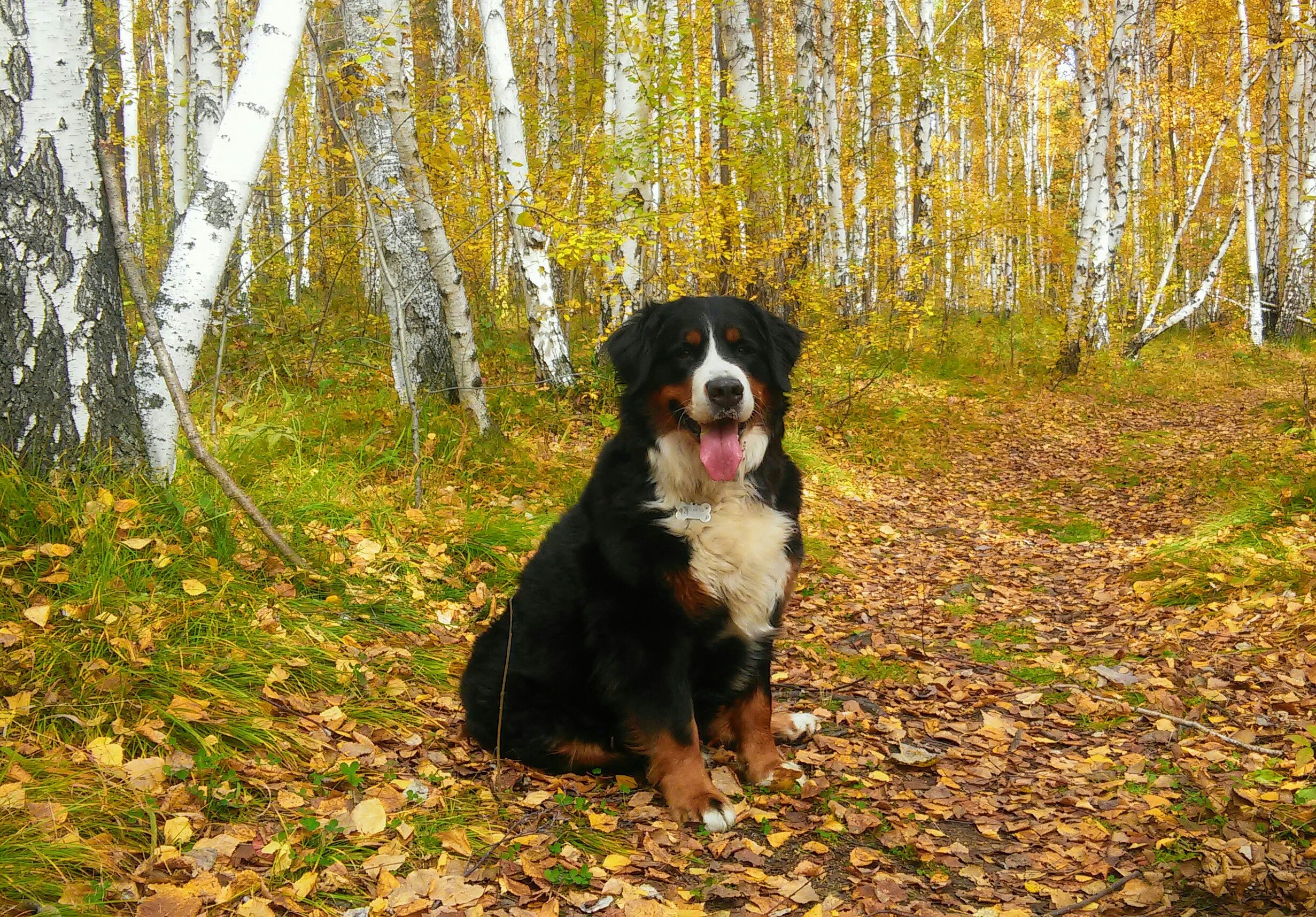 20170915_115315~2-1-1.jpg