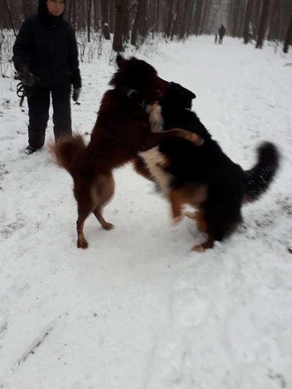 20171220_100356.jpg