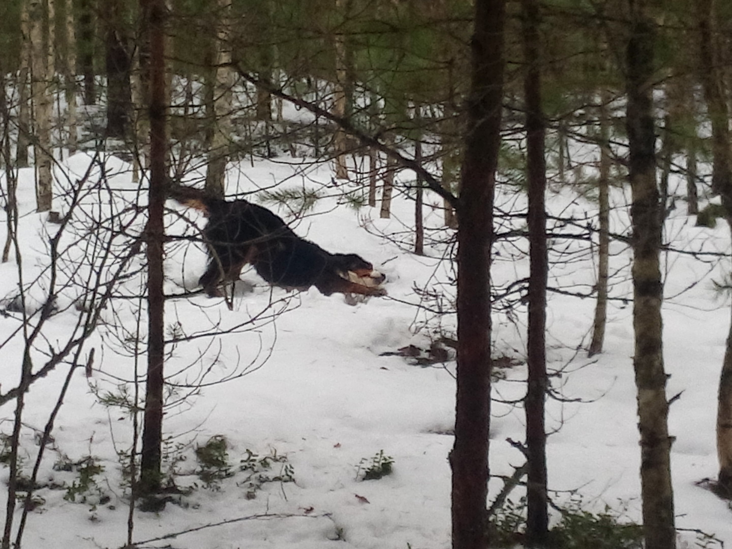 20171230_134602.jpg