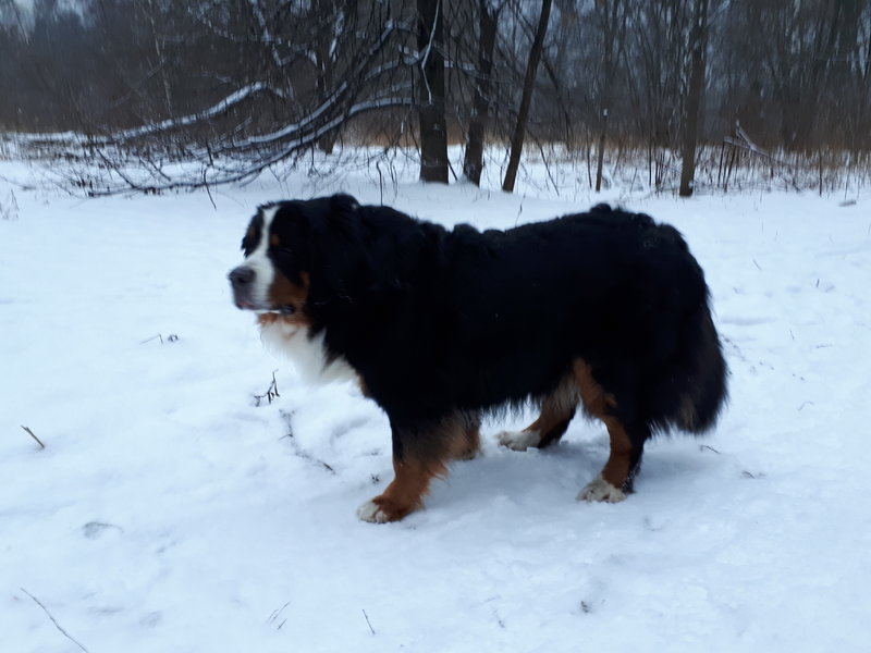 20180115_160738.jpg