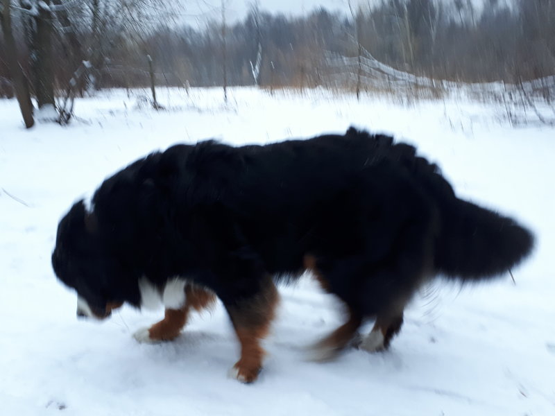 20180115_160743.jpg