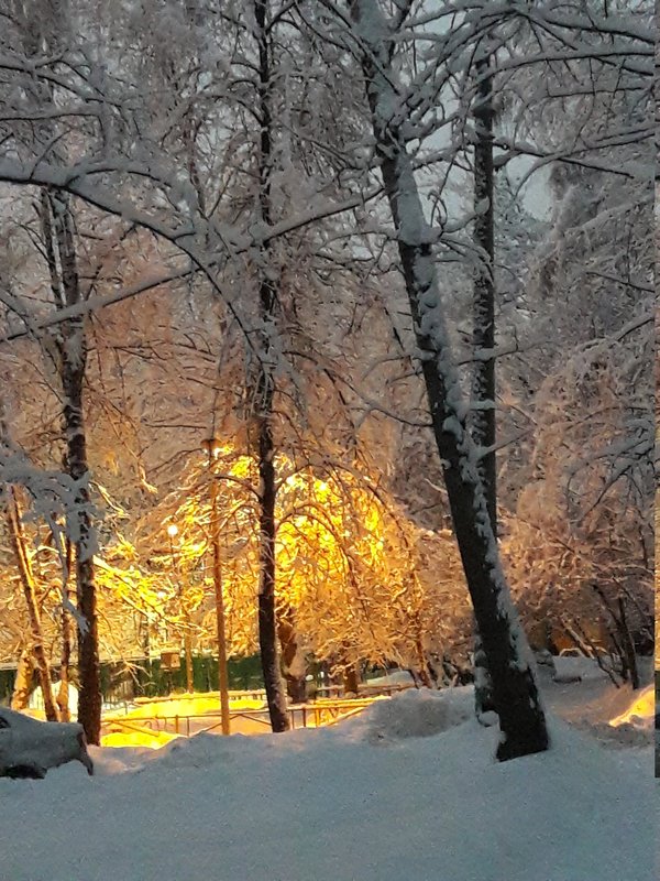20180204_174301.jpg