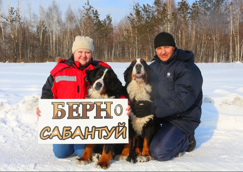 20180217_215719.jpg