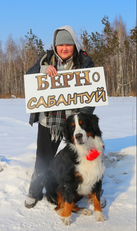 20180217_221205.jpg