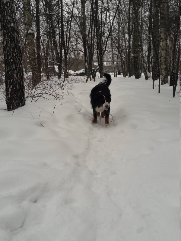 20180304_150608.jpg