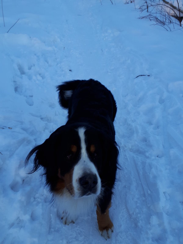 20180308_175426.jpg