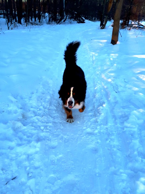 20180309_212540.jpg