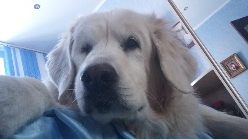20180312_172133.jpg