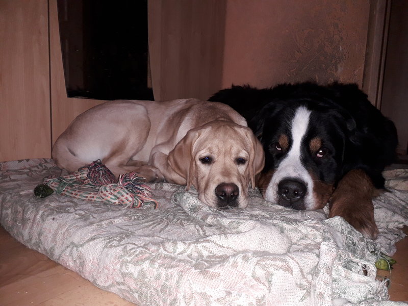 20180313_145045.jpg