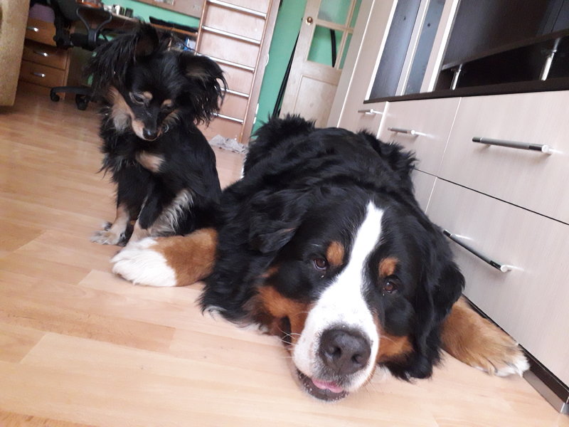20180325_170250.jpg