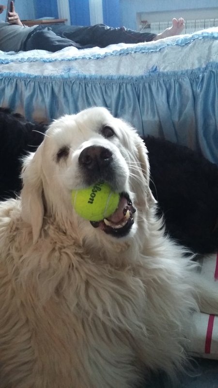 20180326_172005.jpg
