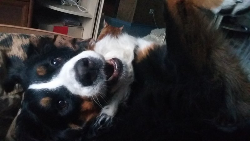 20180403_071723.jpg