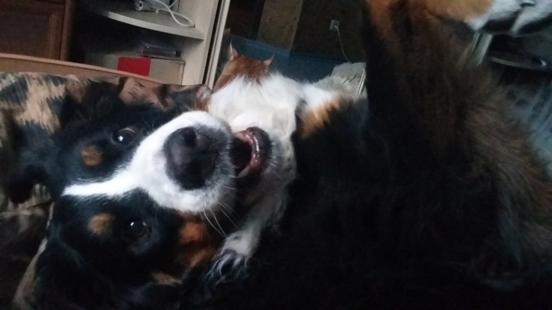 20180403_071723.jpg