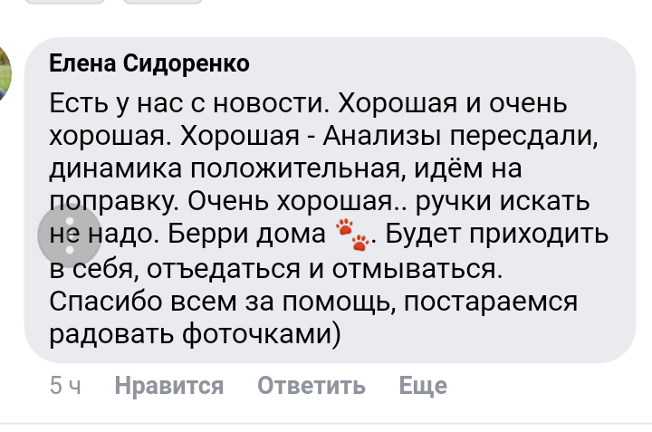 20180413_065100.png