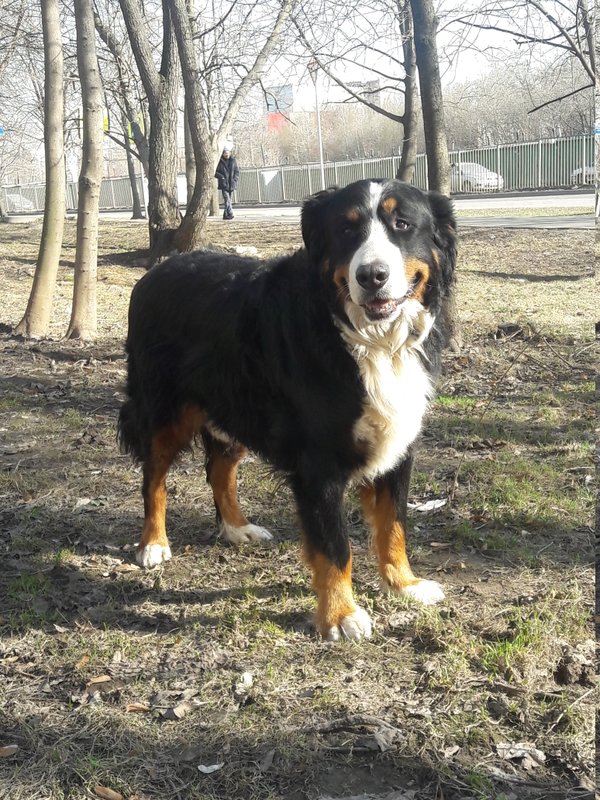 20180414_160615.jpg