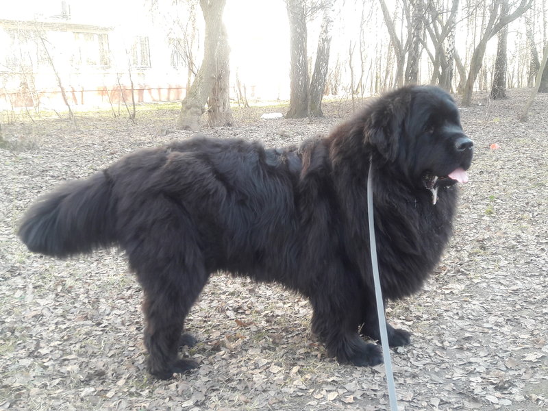 20180414_165018.jpg