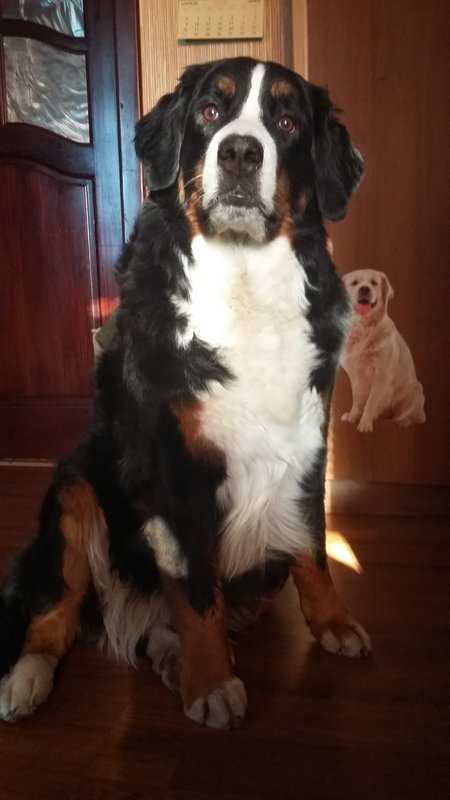 20180427_072522.jpg