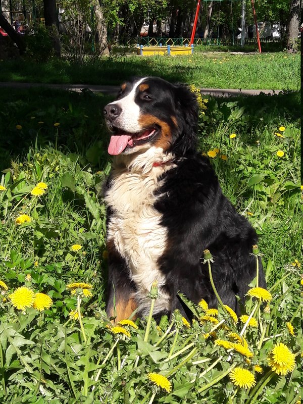 20180509_155904.jpg