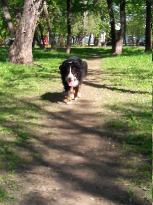 20180509_160020.jpg