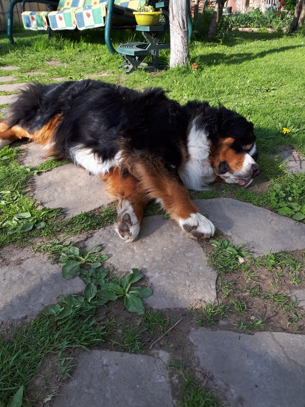20180516_171154.jpg