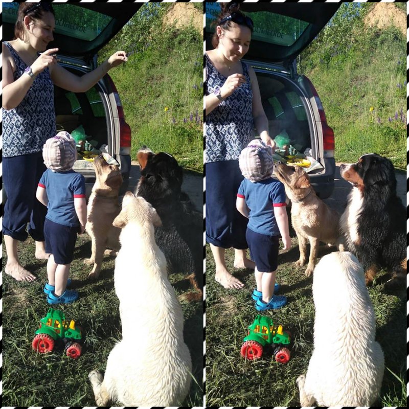 20180528_141613.jpg