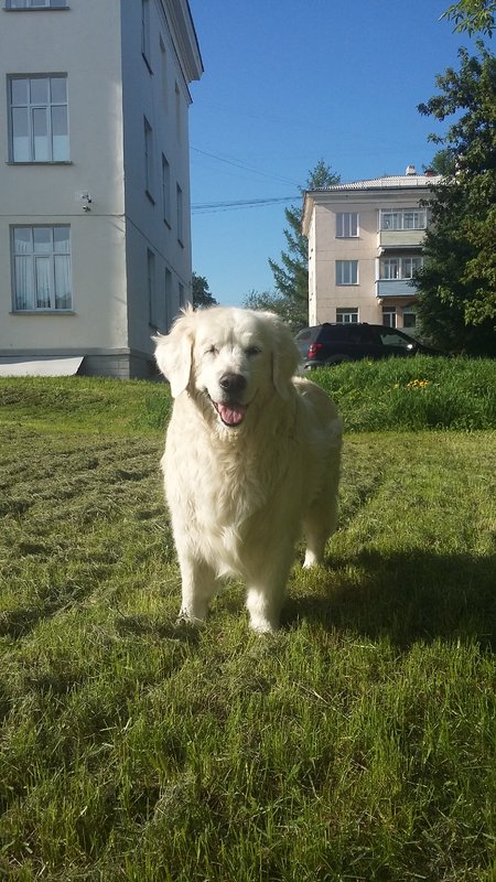 20180608_081637.jpg