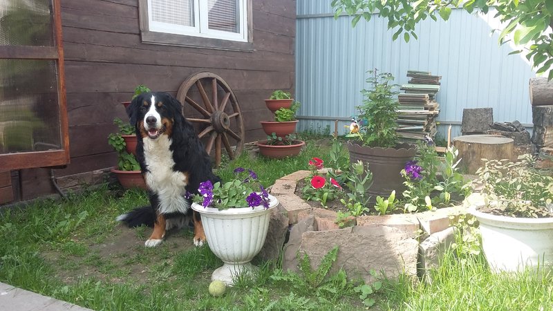 20180610_104500.jpg