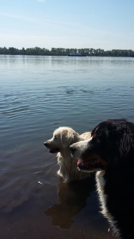 20180610_152432.jpg