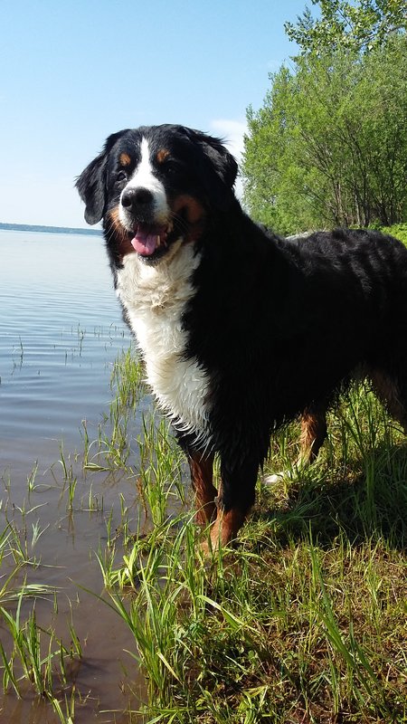 20180610_152801.jpg