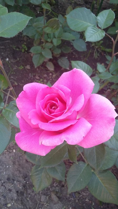 20180626_172347.jpg