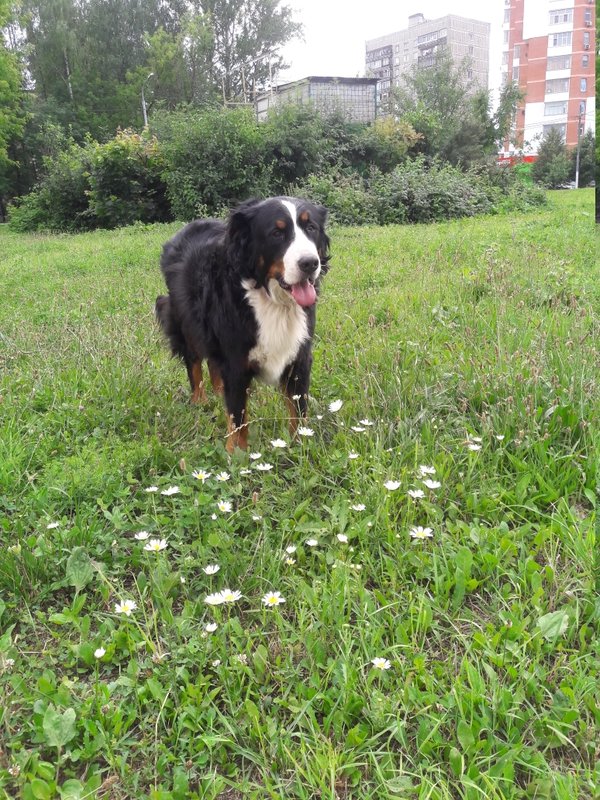 20180707_162534.jpg