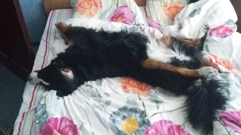 20180712_075514.jpg